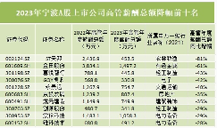 宁波A股高管薪酬榜曝光：谁年薪880万还带俩儿子冲前十？(图4)