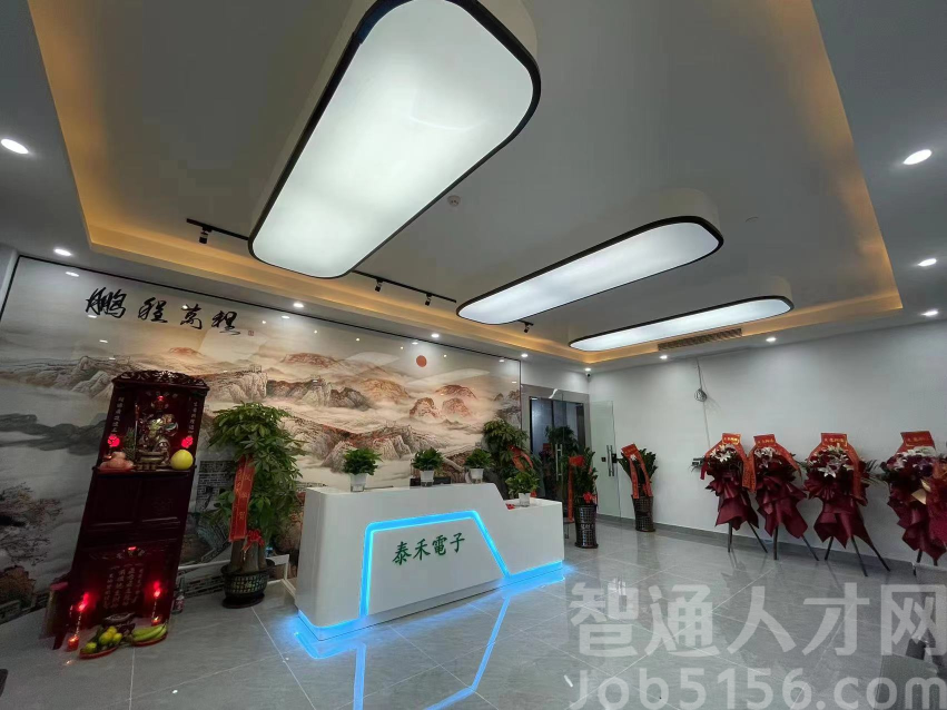东莞市泰禾电子有限公司图片7