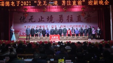 瑞德电子(信丰)有限公司图片6