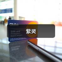 紫灵（图3）