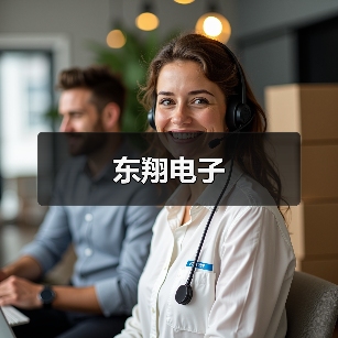 东翔电子（图3）