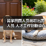 留学回国人员将超出国人员 人才工作创新迫在眉睫(图3) 留学回国人员将超出国人员 人才工作创新迫在眉睫(图3)