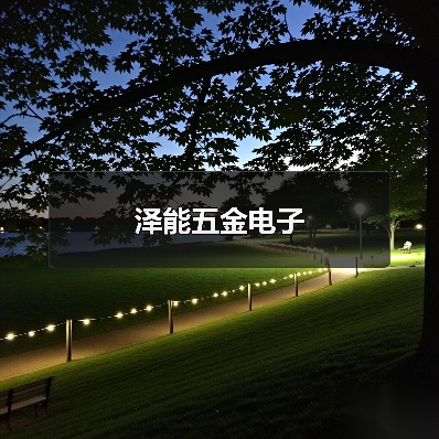 泽能五金电子（图3）