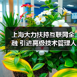 上海大力扶持互联网金融 引进高级技术管理人才(图1) 上海大力扶持互联网金融 引进高级技术管理人才(图1)