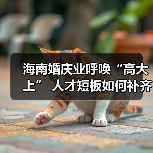 海南婚庆业呼唤“高大上” 人才短板如何补齐(图4) 海南婚庆业呼唤“高大上” 人才短板如何补齐(图4)
