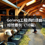Golang工程师的项目经验案例(10篇)(图2) Golang工程师的项目经验案例(10篇)(图2)