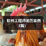 软件工程师简历案例(3篇)(图3) 软件工程师简历案例(3篇)(图3)