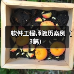 软件工程师简历案例(3篇)(图4) 软件工程师简历案例(3篇)(图4)