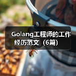 Golang工程师的工作经历范文(6篇)(图1) Golang工程师的工作经历范文(6篇)(图1)