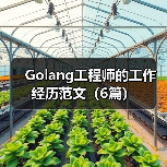 Golang工程师的工作经历范文(6篇)(图2) Golang工程师的工作经历范文(6篇)(图2)