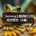 Golang工程师的工作经历范文(6篇)(图4) Golang工程师的工作经历范文(6篇)(图4)