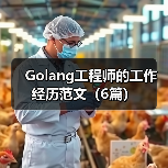 Golang工程师的工作经历范文(6篇)(图3) Golang工程师的工作经历范文(6篇)(图3)