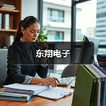 东翔电子(图1) 东翔电子(图1)