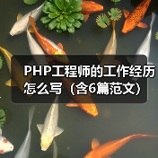 PHP工程师的工作经历怎么写(含6篇范文)(图2) PHP工程师的工作经历怎么写(含6篇范文)(图2)