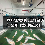 PHP工程师的工作经历怎么写(含6篇范文)(图1) PHP工程师的工作经历怎么写(含6篇范文)(图1)