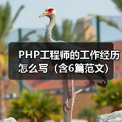 PHP工程师的工作经历怎么写(含6篇范文)(图3) PHP工程师的工作经历怎么写(含6篇范文)(图3)