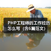 PHP工程师的工作经历怎么写(含6篇范文)(图4) PHP工程师的工作经历怎么写(含6篇范文)(图4)