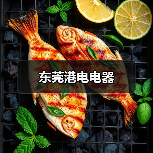 东莞港电电器（图1）