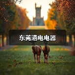 东莞港电电器（图2）