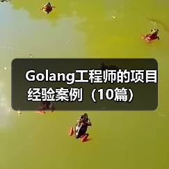 Golang工程师的项目经验案例(10篇)(图3) Golang工程师的项目经验案例(10篇)(图3)