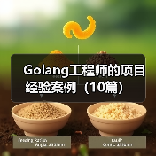 Golang工程师的项目经验案例(10篇)(图4) Golang工程师的项目经验案例(10篇)(图4)