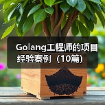 Golang工程师的项目经验案例(10篇)(图1) Golang工程师的项目经验案例(10篇)(图1)