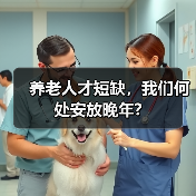 养老人才短缺,我们何处安放晚年?(图2) 养老人才短缺,我们何处安放晚年?(图2)