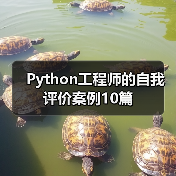 Python工程师的自我评价案例10篇(图4) Python工程师的自我评价案例10篇(图4)