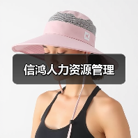 信鸿人力资源管理（图2）