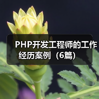 PHP开发工程师的工作经历案例（6篇）（图2）
