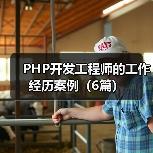 PHP开发工程师的工作经历案例（6篇）（图3）