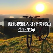 湖北技能人才评价将由企业主导（图4）
