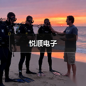 悦顺电子（图2）