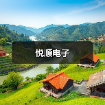 悦顺电子（图3）