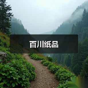 百川纸品(图4) 百川纸品(图4)