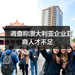 调查称澳大利亚企业亚裔人才不足(图3) 调查称澳大利亚企业亚裔人才不足(图3)
