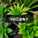 泽能五金电子(图2) 泽能五金电子(图2)