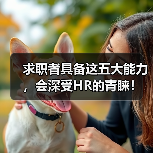 求职者具备这五大能力，会深受HR的青睐！（图4）