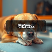 周琦管业（图3）