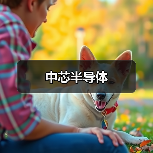 中芯半导体（图3）