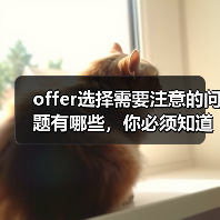 offer选择需要注意的问题有哪些,你必须知道!(图4) offer选择需要注意的问题有哪些,你必须知道!(图4)