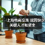 上海电商没落 或因缺少关键人才和资金（图4）