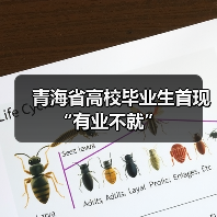 青海省高校毕业生首现“有业不就”（图3）