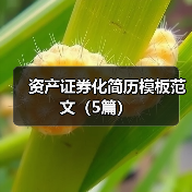 资产证券化简历模板范文(5篇)(图1) 资产证券化简历模板范文(5篇)(图1)