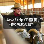 JavaScript工程师的工作经历怎么写?(图2) JavaScript工程师的工作经历怎么写?(图2)