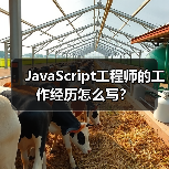 JavaScript工程师的工作经历怎么写?(图3) JavaScript工程师的工作经历怎么写?(图3)