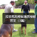 投资风险控制简历模板范文(3篇)(图4) 投资风险控制简历模板范文(3篇)(图4)