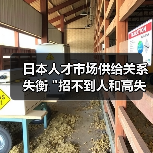 日本人才市场供给关系失衡 日本人才市场供给关系失衡