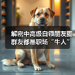 解密中高级白领朋友圈 群友都是职场“牛人”（图4）