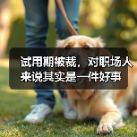 试用期被裁,对职场人来说其实是一件好事(图3) 试用期被裁,对职场人来说其实是一件好事(图3)